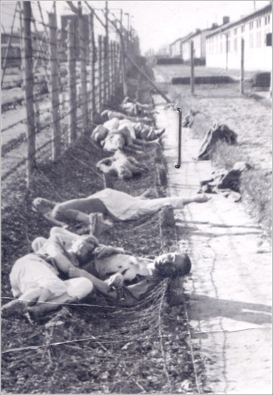 Mauthausen dead prisoners lying along the barbed wire